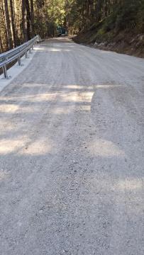 Gozdna cesta Žirovnikov križ Kadižev mlin slike 24. 3. 2025 (7)